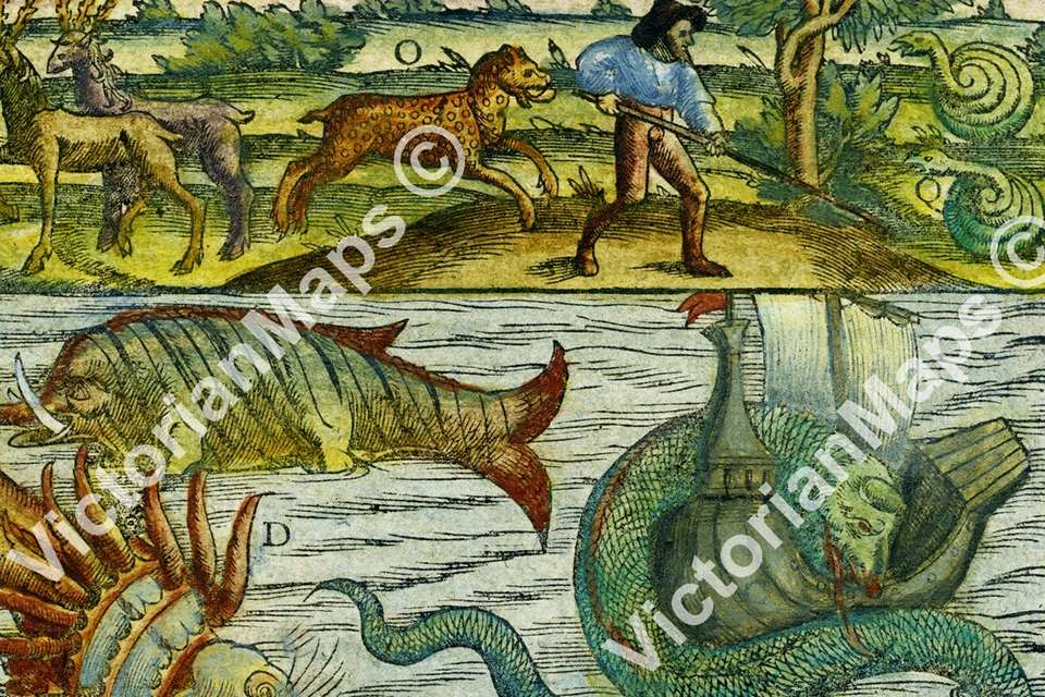 Sea Land Monsters bestia serpiente antiguo mapa Munster 1544 impresión artística póster  Foto 3 de 4