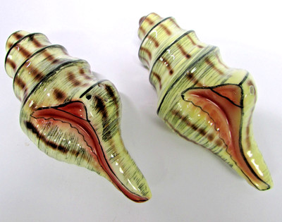 Vintage 1950's Conch Shells Salt & Pepper Shakers Seashells Nautical Beach Japan