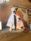 Rick Springfield 1980 World Class Dog Promo Poster  Ronnie  “Jessie’s Girl” — photo 1