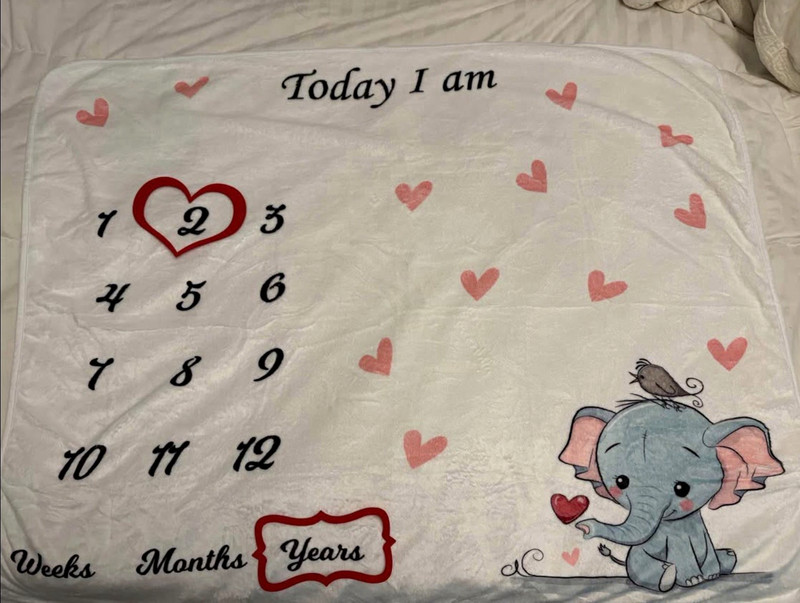 Baby Milestone Blanket Elephant "Today I Am" Weeks Months Years Unisex Pink