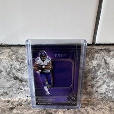 Panini Silhouettes Adrian Peterson Minnesota Vikings Memorabilia Cards /99