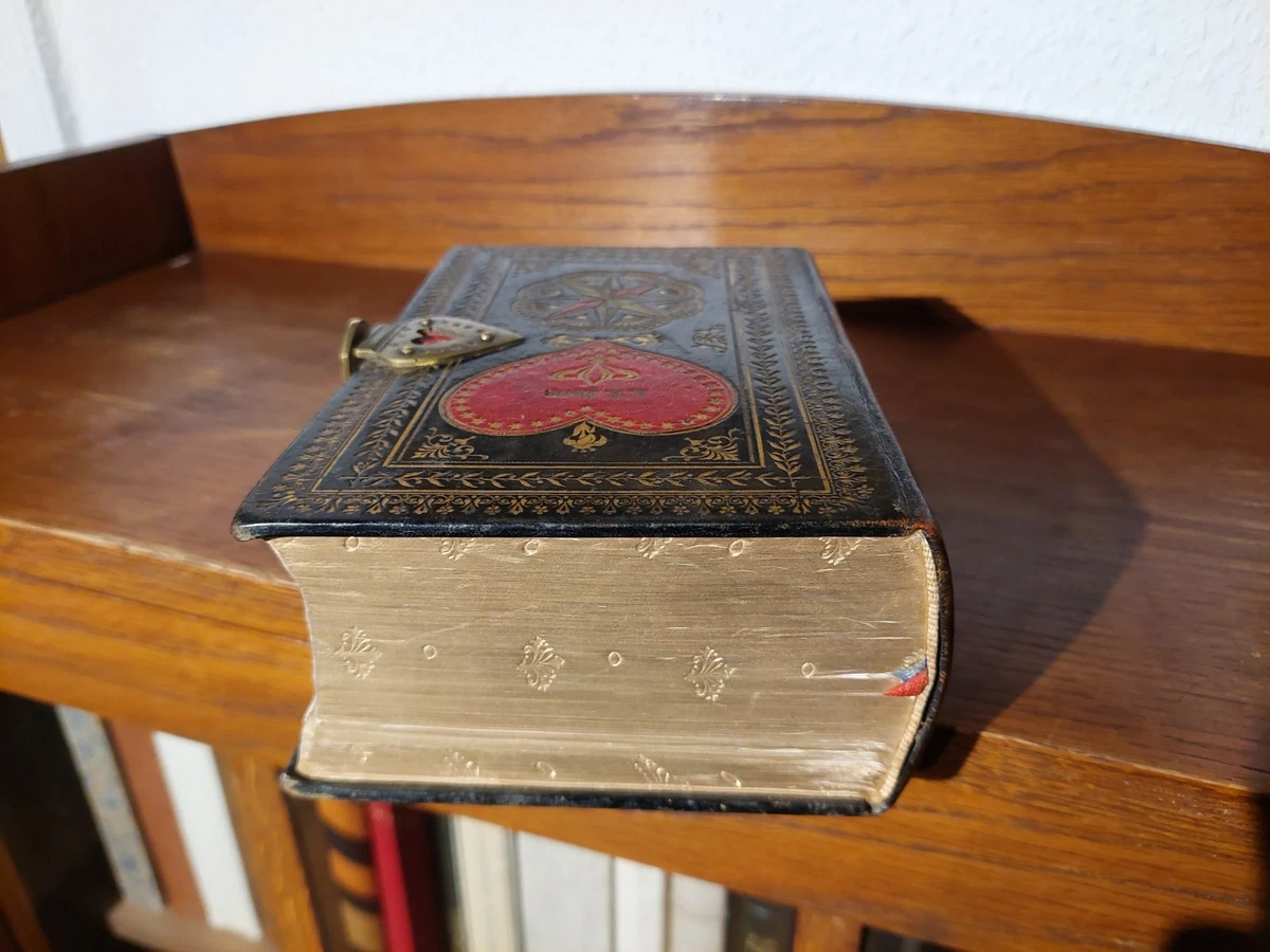 HEILIGE SCHRIFT LUTHER BIBEL 1907 LUXUSAUSGABE Prachtvoller LEDER HANDEINBAND