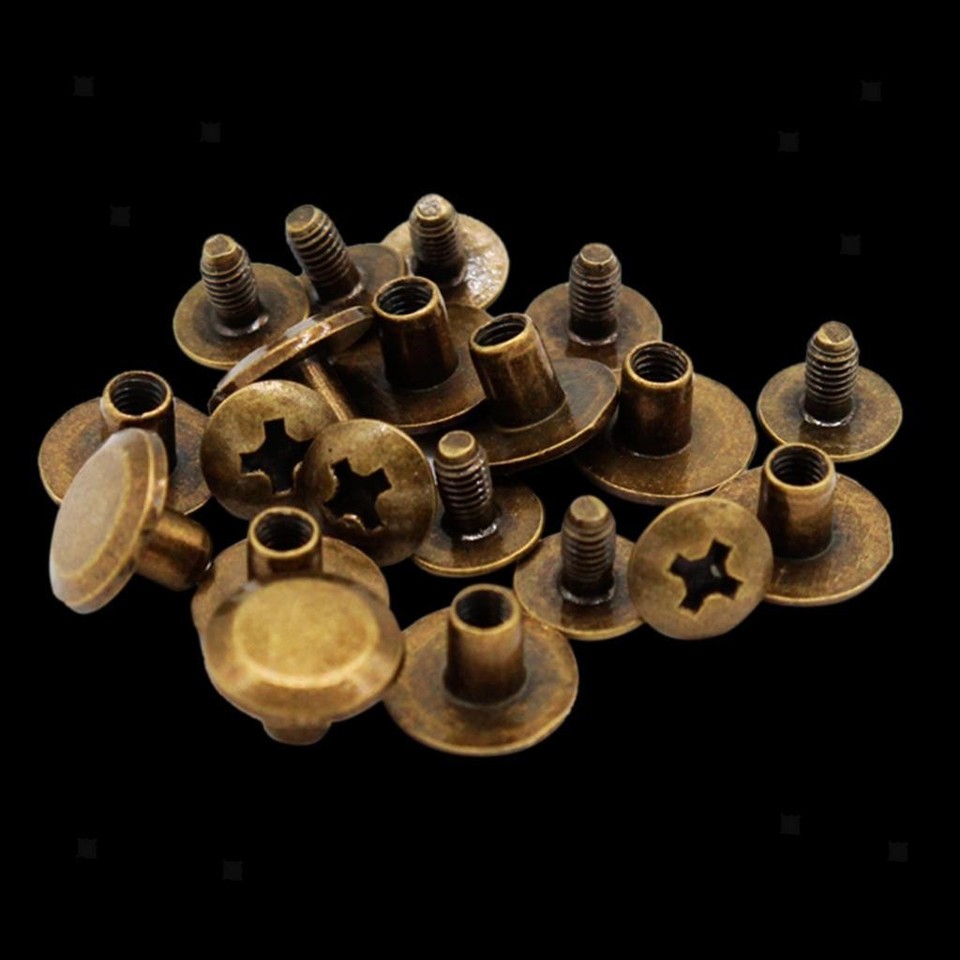 30Pcs Screw Rivet Flat Head Style | eBay Australia