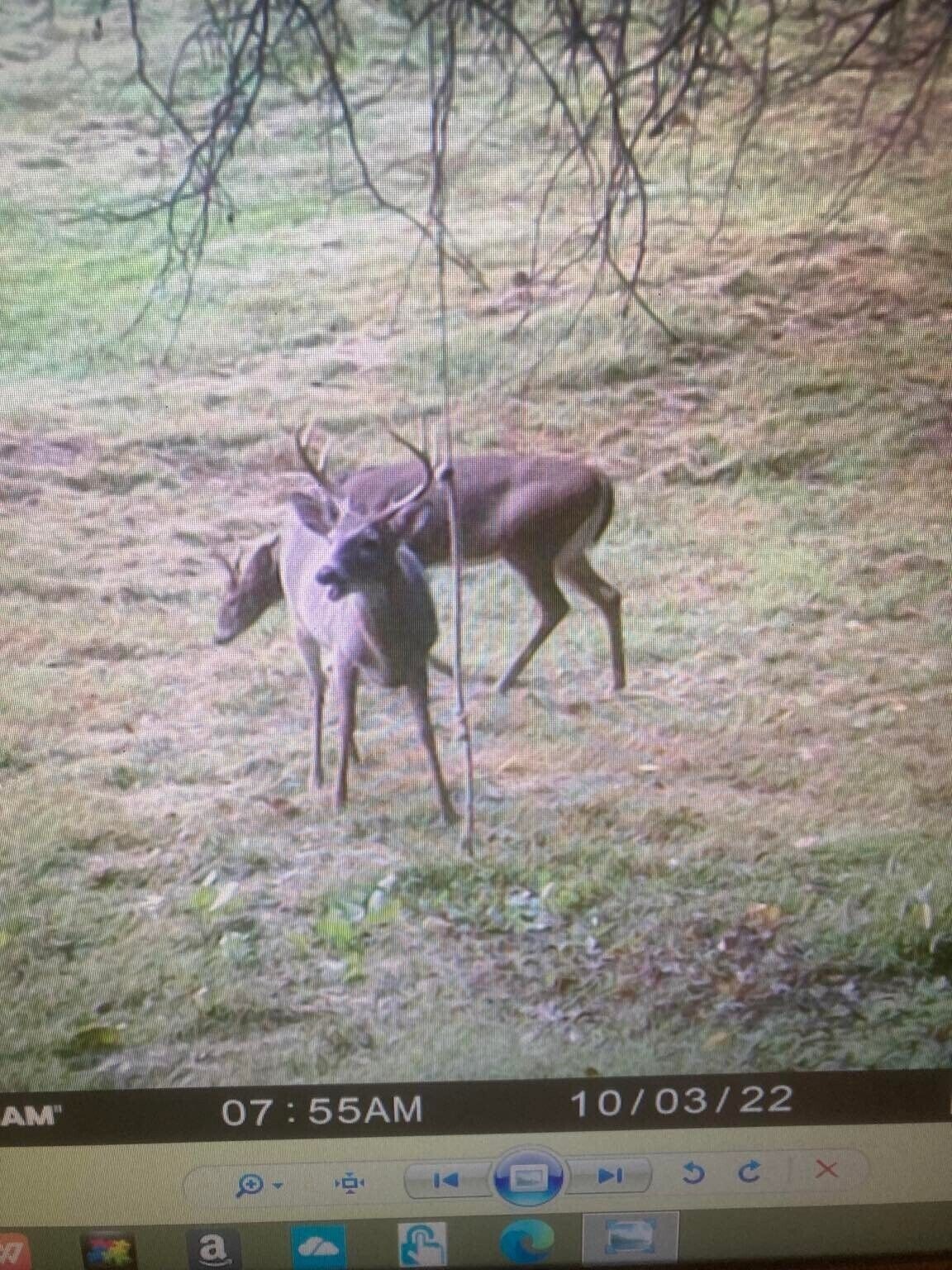 Picture 5 of 6