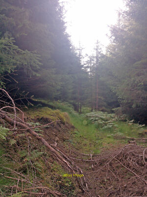 Foto 12x8 noch keine Spur der Strecke abgebildet auf der OS Karte Tillyfourie\/NJ6 um 2021