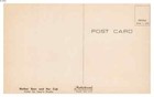 BEAUTIFUL VINTAGE POSTCARD  MOTHER BEAR AND HER CUB   WHITE PINES ILLINOIS — photo 2