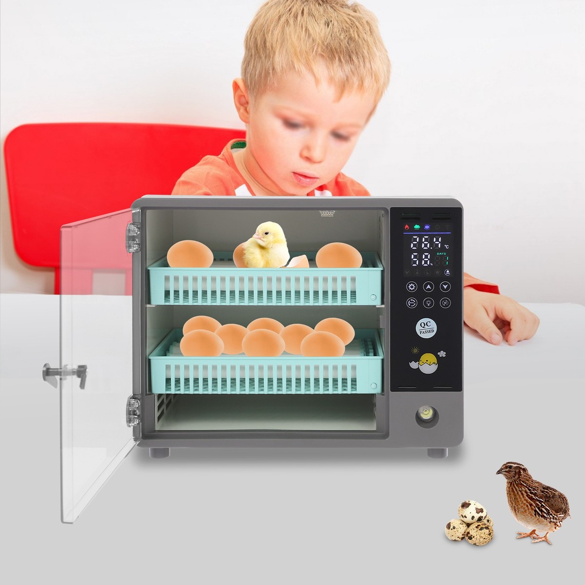 24-Egg Digital Incubator w/Auto Turn Humidity Control Farm for