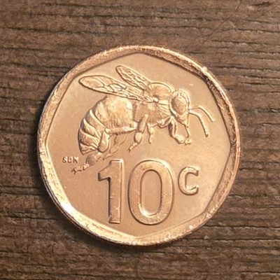 2023 South Africa 10 Cent Coin! Cape Honey Bee / Uncirculated / Cheap Buy It Now