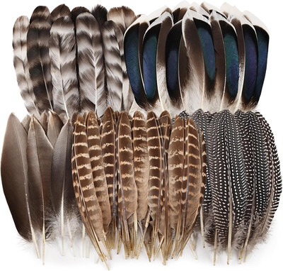 40 Pcs Natural Pheasant Feathers Bulk Spotted Feathers 5 Styles Mixed Feathers
