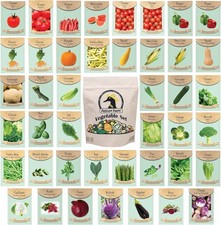 Set of 43 Assorted Vegetable Herb Seed Packets - Over 10,000 Seeds - Includes