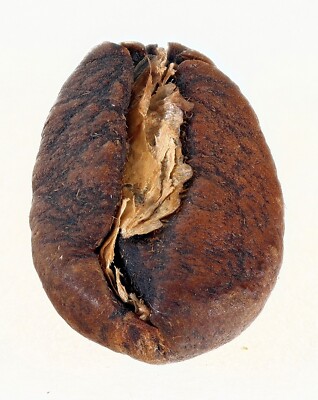 3 Kg Indonesien Sumatra Kaffeebohnen - frisch geröstet -  mit SL-Röstung NP140 _