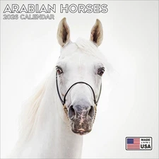 Arabian Horses Calendar 2026 - Animal Wall Calendar - Made in the USA!