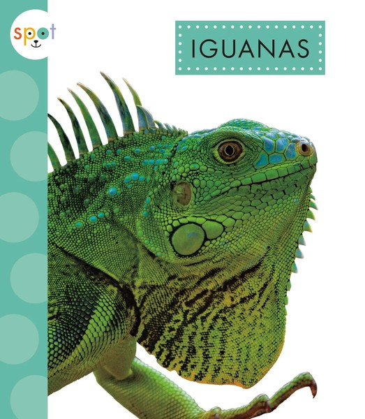 Iguanas | Alissa Thielges | Englisch | Taschenbuch | 2024 | Creative Company-image