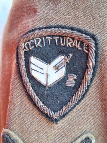 Militaria Post WW2 Uniforme M61 Uniforme E.I. Caporal ALPINI Brigade CADORE - 第 3/10 張圖片