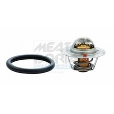 Thermostat Ford SIERRA