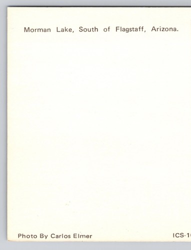 Vintage Postcard Morman Lake South Of Flagstaff Arizona - 第 5/14 張圖片