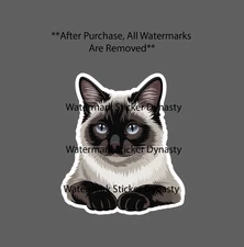 Siamese Cat Sticker Waterproof Decal Animal Pet Friend Family Adopt Gift NEW