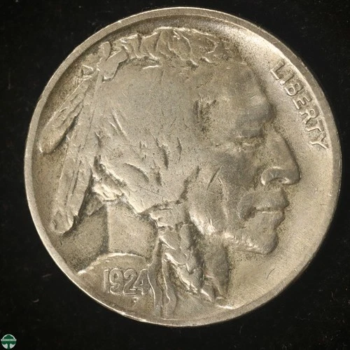 1924-D Buffalo Nickel - Fine Details