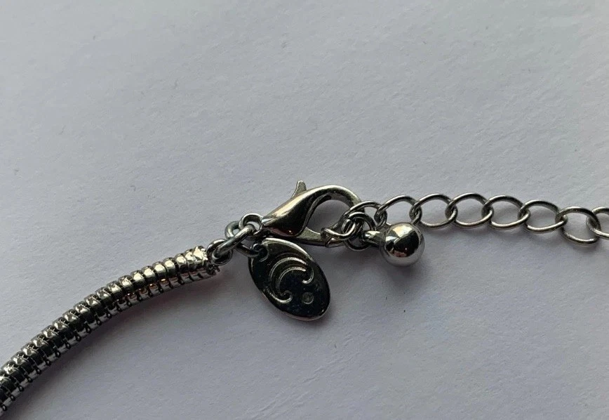 Collar Bolo Turquesa Tono Plata Chico’s Cadena Serpiente Ajustable Boho Southwes Foto 3 de 4