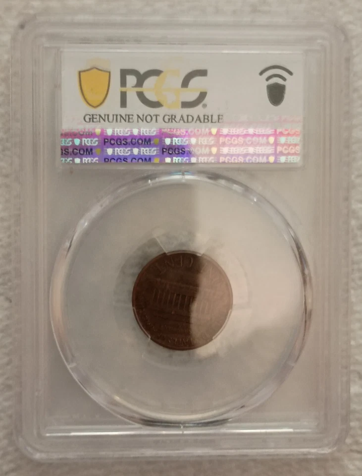 1986 Lincoln 1C PCGS Grd N1BN Pop 0 Pop Hghr 18 PCGS Genuine Rim Damage - AU dtl - Image 3 of 3