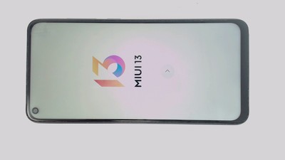 Xiaomi Redmi Note 9 M2003J15Si (Gray 64GB 4GB) Unknown Carrier DualSIM BROWN