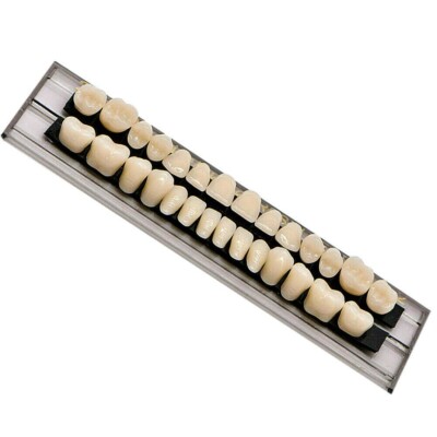 Gebiss Reparatur Zähne A3 / 22 Prothese Garnituren Kunststoff Reparatur Erweiterung Dental Labor – Hochwertige Zahnprothesen Aus Japan Gebiss Reparatur Zähne A3 / 22 Prothese Garnituren Kunststoff Reparatur Erweiterung Dental Labor – Hochwertige Zahnprothesen Aus Japan