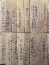 Collection of 12 China Old Books on Witch Med...