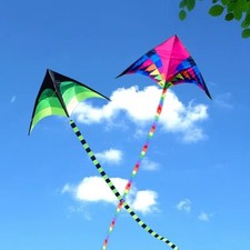 1.6m Large Delta Long Tail Flying Kite Kids Adults Single Line Kites Outdoor UK