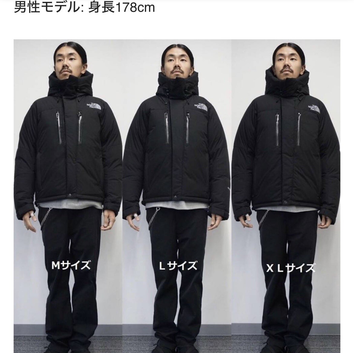 The North Face Baltro Light Jacket 2023 Fall Winter GORE-TEX The North Face Baltro Light Jacket 2023 Fall Winter GORE-TEX