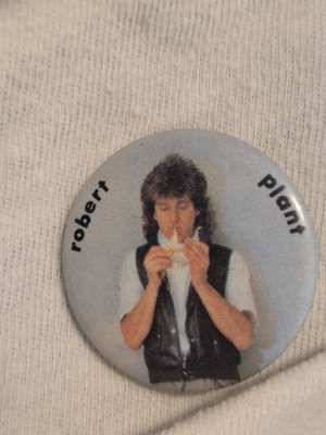 Robert Plant Pinback