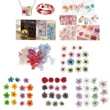 15 St&uuml;ck echte, getrocknete, gepresste Blumen f&uuml;r DIY Scrapbooking