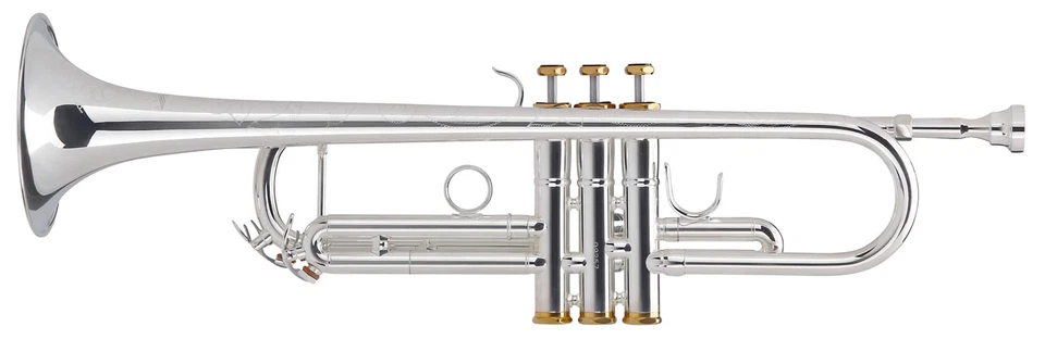 Lechgold Tromba Bb Ottone Placcato Argento 3 Pistoni Set Custodia e Accessori - Immagine 2 di 4