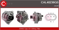 Casco CAL40236GS Lichtmaschine Generator FüR Jaguar