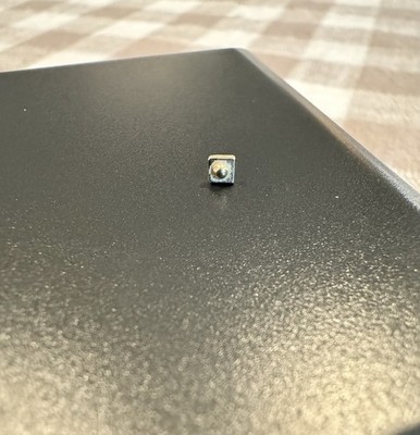 Pupil Hall Press Fit  Squrrr! Dottie  14k Yellow Gold