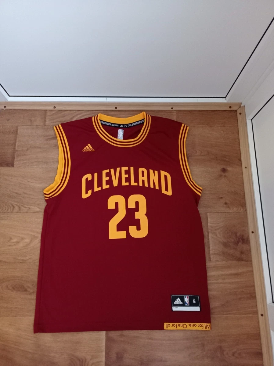 Lebron james cheap cavaliers camiseta