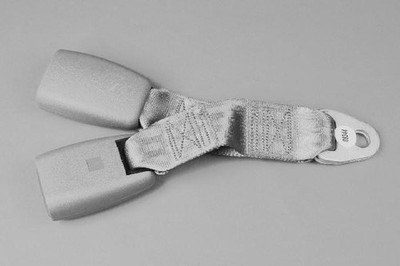 CHRYSLER OEM 2004 Caravan Restraint Systems Rear Seat Belts-Buckle End TF581J3AC