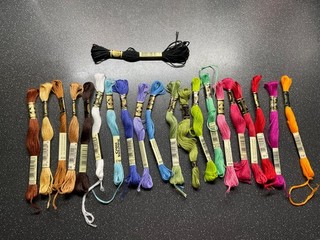 Bundle of 20 DMC threads plus 1 black 310