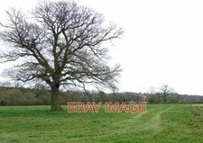 PHOTO  GRAZING LAND NEAR LINDRIDGE SHROPSHIRE  2007
