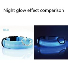LED Dog Collar Blinking Night Flashing Light Up Glow Adjustable Pets Safety USA