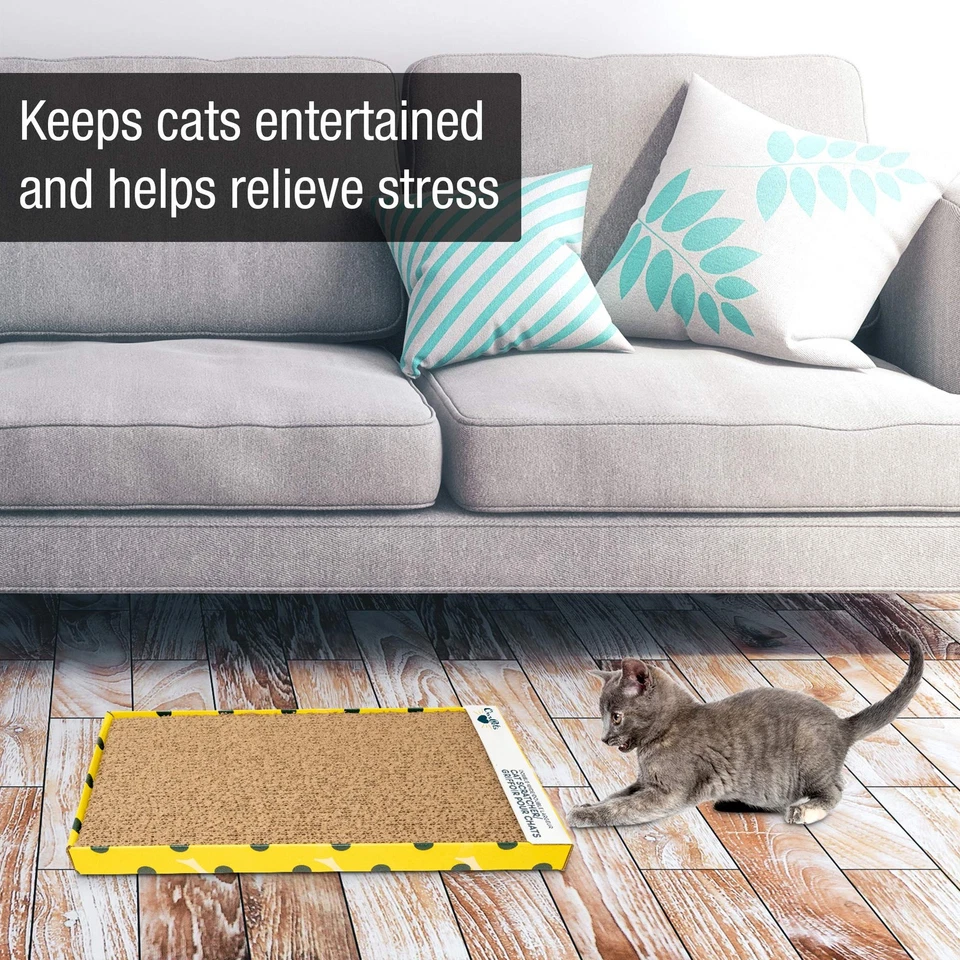 OurPets Far and Wide Cat Scratcher with Cosmic Catnip Extra Large Durable Design - Image 3 of 4