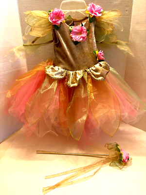 Fairy Dust Little Girls Birthday Pink Flowers Costume Dress w/Wand size 3 |  eBay