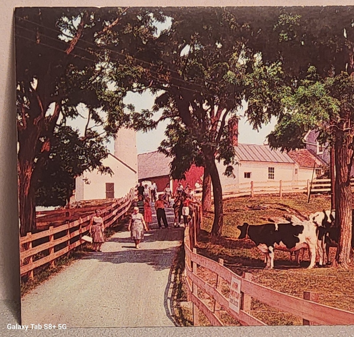 Picture Postcard Of A 