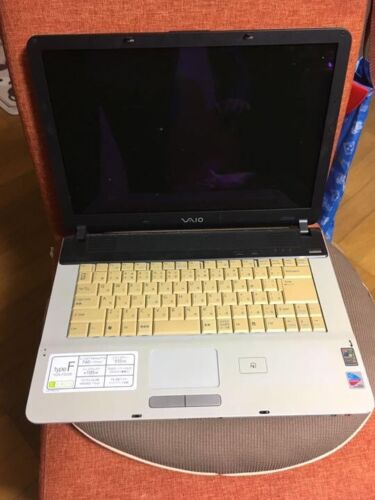 DISCO DURO SONY VAIO VGN-FE53B (PCG-7G2N) Intel ®Pentium®M740 (1,73 GHZ) 100 GB RAM 512 MB - Imagen 1 de 4