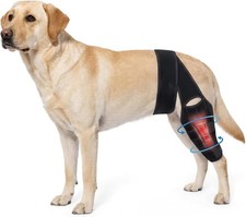Dog Knee Brace for Back Leg,Dogs Leg Brace Hind Rear Legs Senior Dog M 1