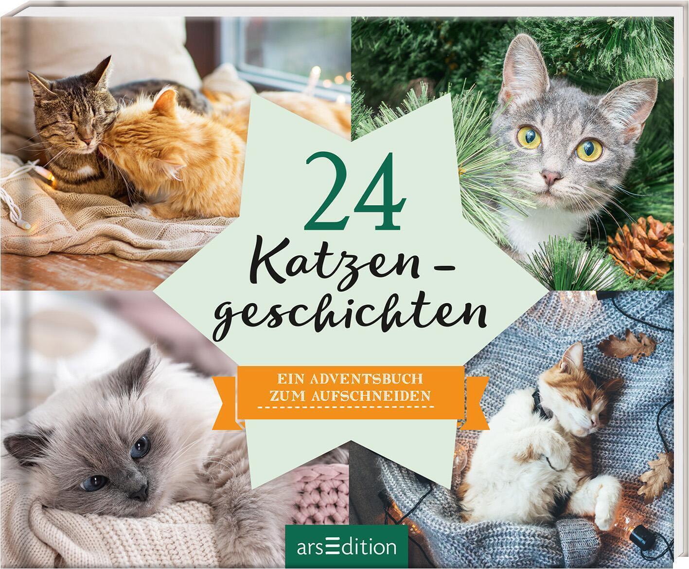 Thumbnail - 24 Katzengeschichten | Buch | Deutsch (2020) | Ein Adventsbuch Zum
