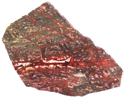Leopard Skin Jasper Slab - 140 Grams  - Gold - Red - White - Mexico