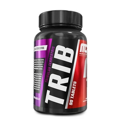 TRIB 1000 mg - 90 Tabletten – Testosteron & Libido Booster - Muskelgesundheit - Bild 1 von 4