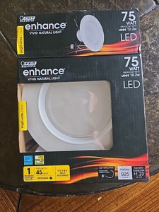 Felt Electric Enhance Vivid Natural Light 75 Watt LED Bright White