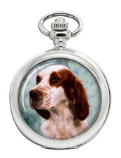 Irish Red and White Setter Pocket Watch