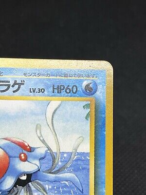 Tentacruel No.073 Dragonite 1999 Southern Island Promo Tentacruel No.073 Dragonite 1999 Southern Island Promo